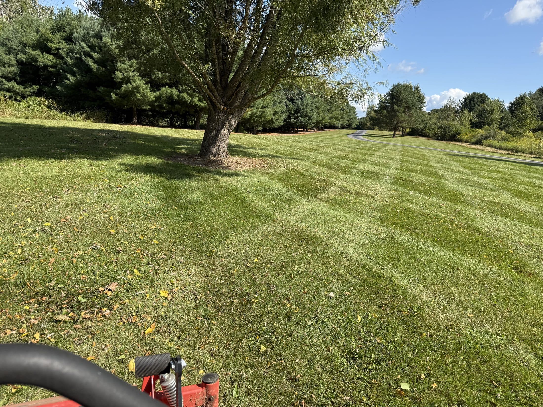 View across a large lawn with fresh mowing stripes from behind the mower