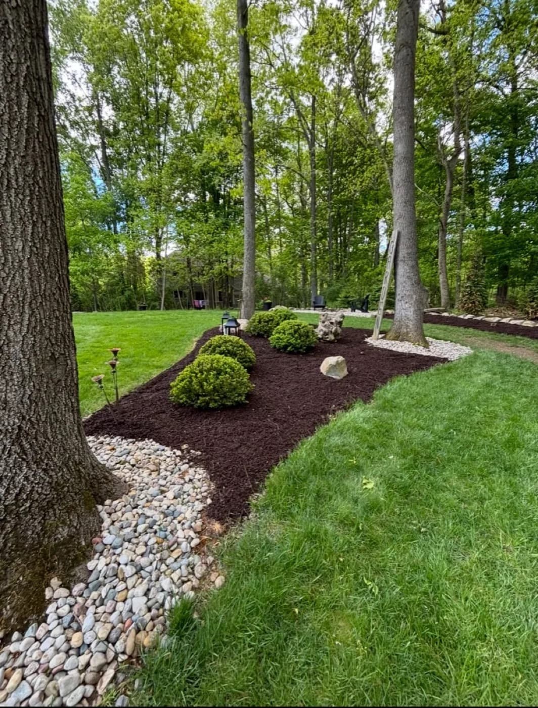 A dark mulch bed edged with river rock and round shrubs beneath tall trees